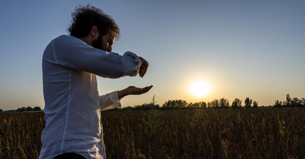 Sebastiano Tundo in uno dei suoi campi di quinoa 