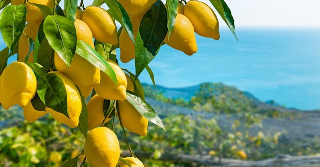 (IgorZh - stock.adobe.com)