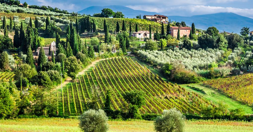 Toscana, Veneto e Sicilia sono le terre preferite per gli investimenti nel vino 