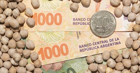 Prezzo alle stelle della soia e moratoria del debito: l ...
