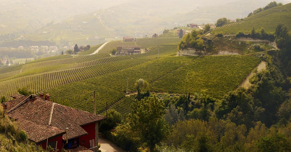 I vigneti sulle colline dell’Asti Docg 
