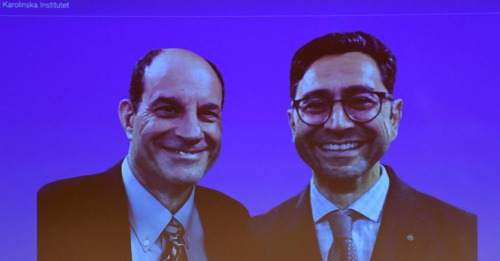 David Julius e  Ardem Patapoutian 