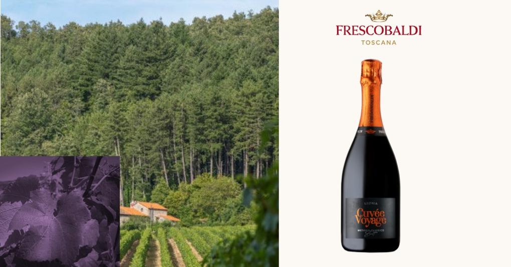 Marchesi Frescobaldi Cuvée Voyage 
