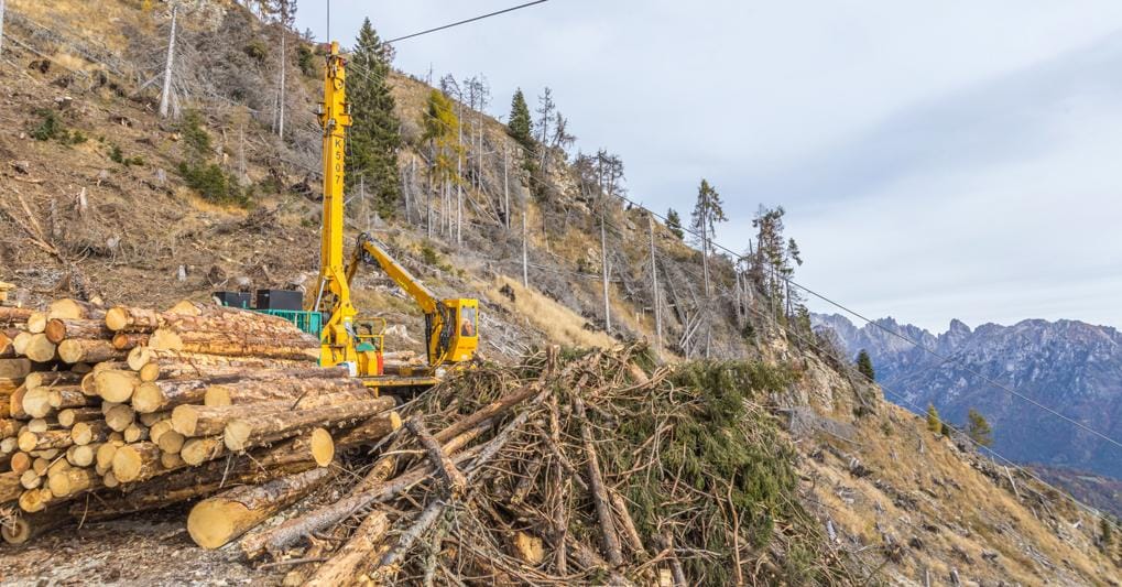 Recupero del legname sul Monte Bedolè in Primiero, fonte ufficio stampa della Provincia autonoma di Trento (ottobre 2021) 