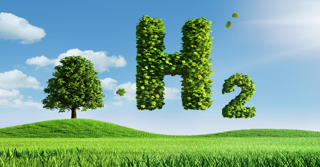 (peterschreiber.media - stock.adobe.com)