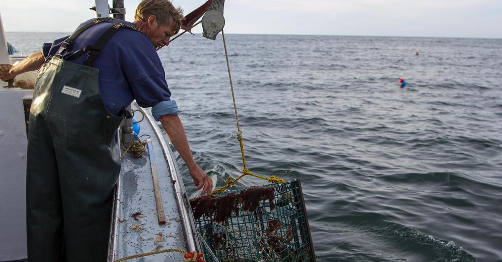 Pesca, rinnovo del contratto per gli addetti del settore marittimo...