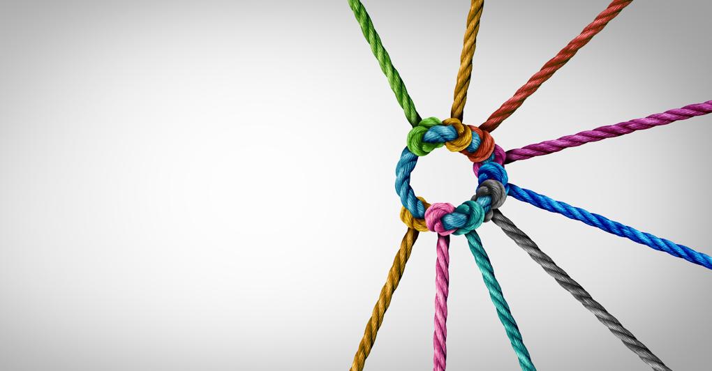 (freshidea - stock.adobe.com)