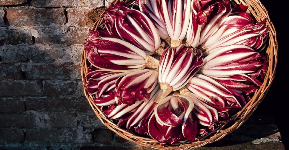 Il Radicchio Igp è molto imitato 
