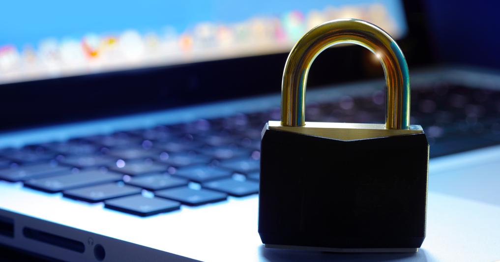 (Mikael Damkier - stock.adobe.com)