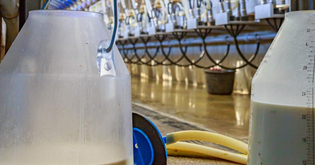  Non lattiero caseario non  è facile stabilire un prezzo che copra i costi, dato che questi, soprattutto negli ultimi tempi,  cambiano molto in fretta 