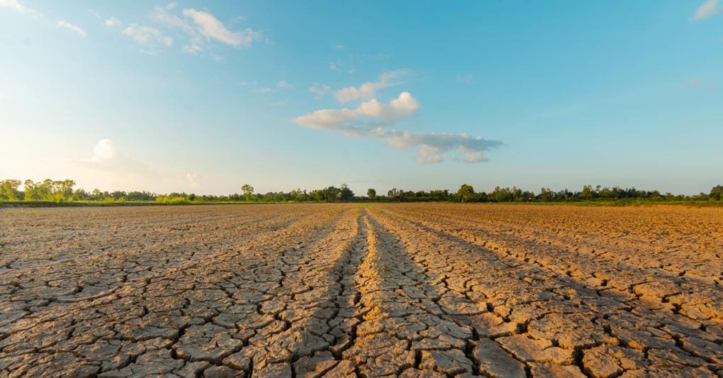 La siccità mette a rischio il 50% della produzione agricola al No...