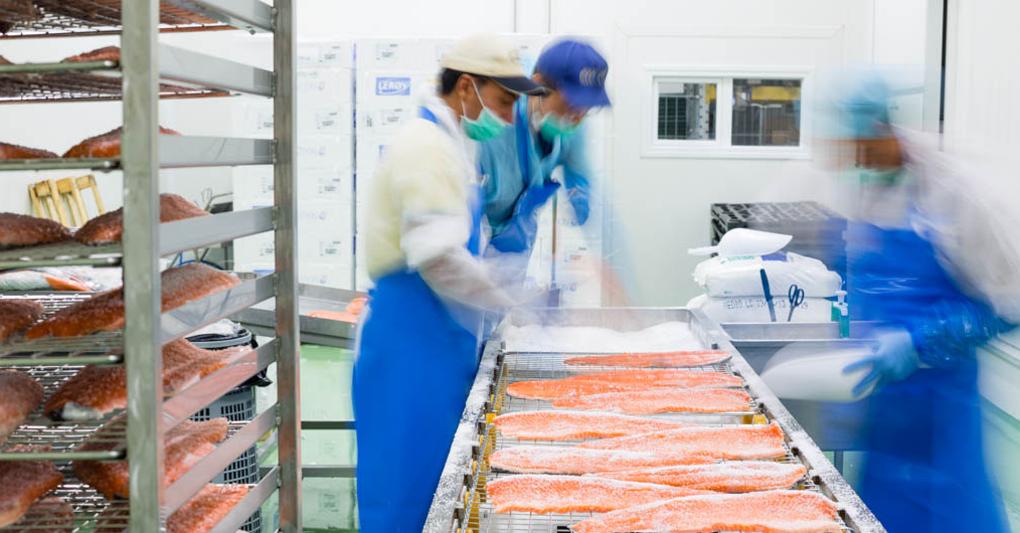 Fasi di lavorazione nello stabilimento Foodlab 