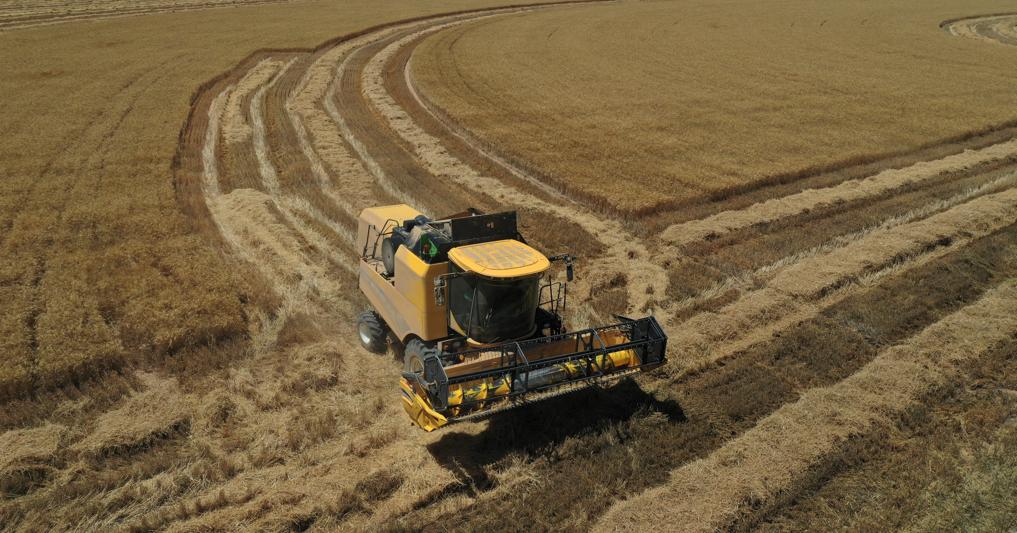 Il piano Ue per salvare l’export di grano dell’Ucraina...