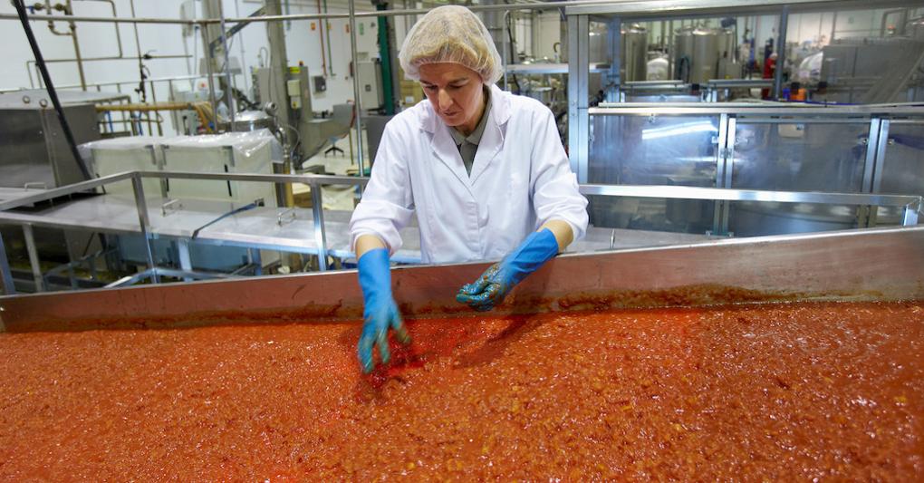 Pomodoro da industria: l’accordo per i prezzo della materia prima al Sud non è ancora stato trovato 