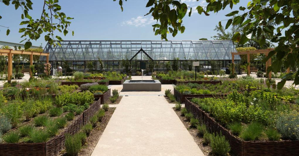  L’orto scientifico del Davines Village 