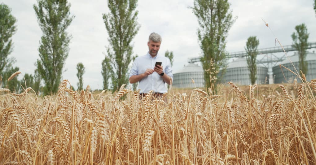Piattaforma XFarm per la filiera Mulino Bianco 