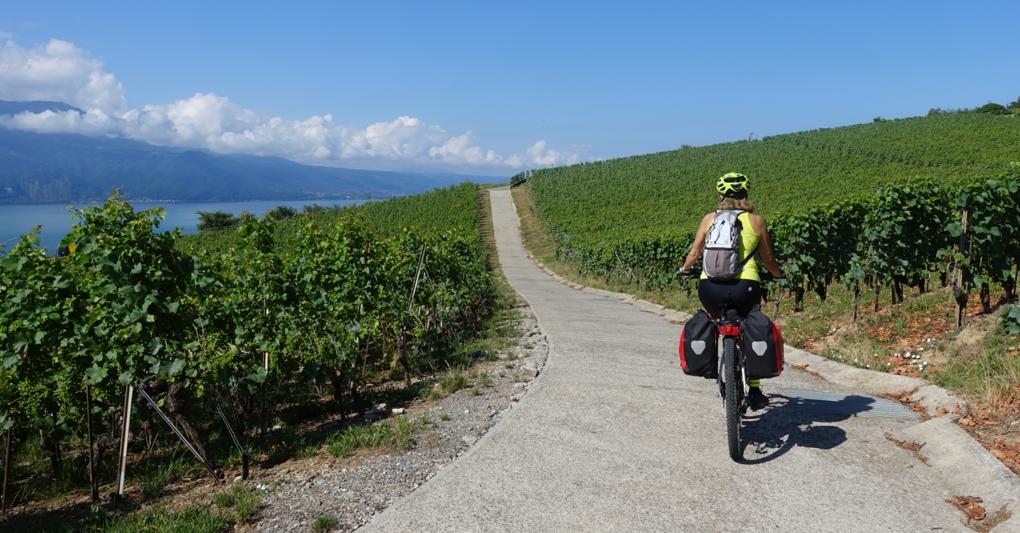 Lavaux, pedalata tra i vigneti 