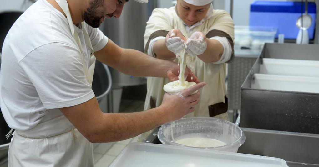  Indispensabili i lavoratori specializzati 