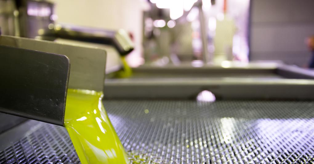  La produzione di olio per il 2022-2023 rischia un forte calo 