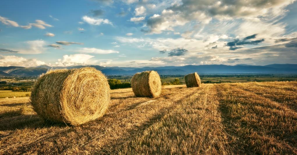 (Giuseppe Blasioli - stock.adobe.com)