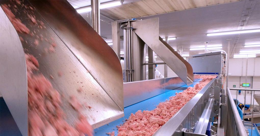 Il nuovo impianto di macinatura di Felsineo alle porte di Bologna 
