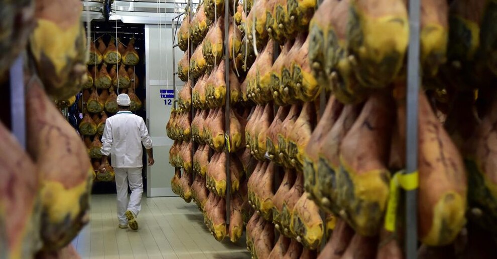  Le imprese  del settore alimentare “tengono” anche se hanno elevati consumi di energia 