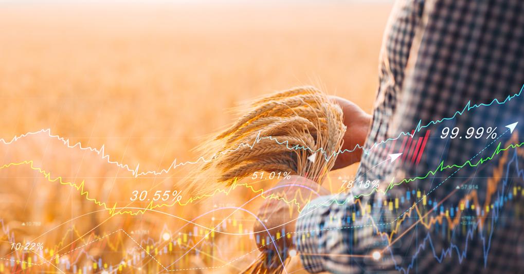 (Miha Creative - stock.adobe.com)