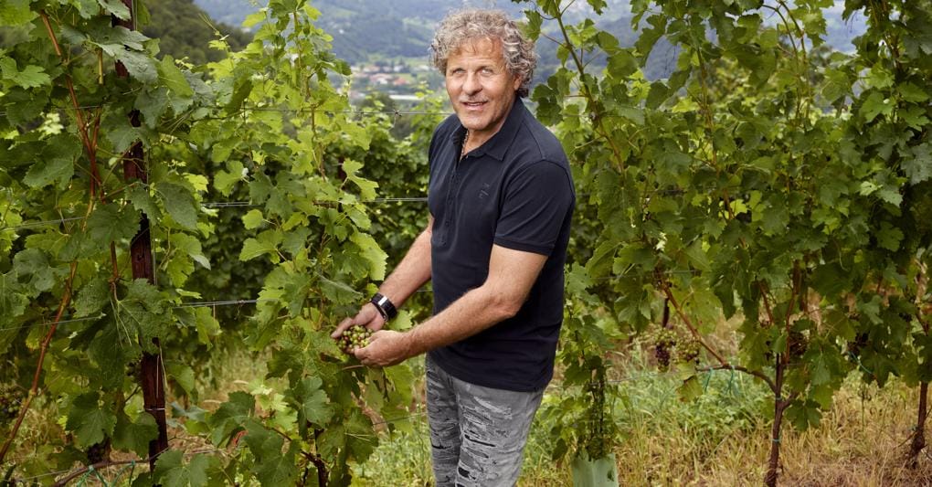 Mister Diesel. Renzo Rosso tra i vigneti. L'imprenditore ha investito molto nel vino, prima con le cantine Masi e poi in Benanti viticoltori in Sicilia 