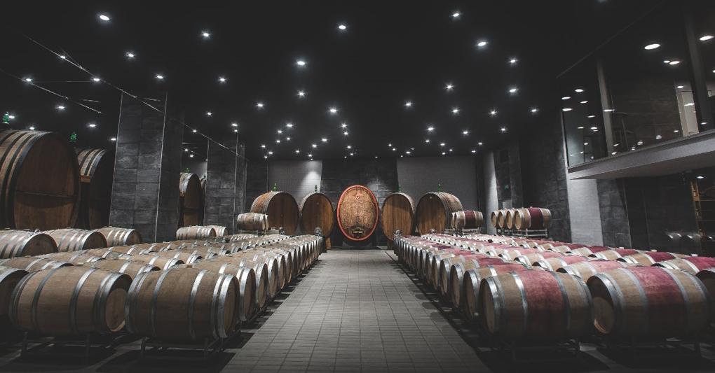 La barricaia di Cantina Mezzacorona, prima nella classifica del vino digitale di Omnicom Pr Group  