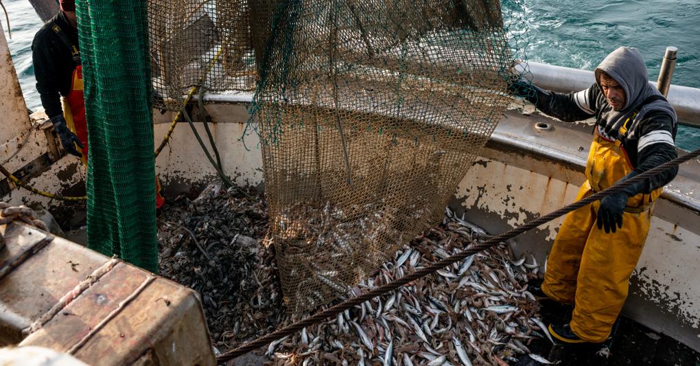 Caro gasolio. Tra le diverse difficoltà del settore della pesca c'è anche il caro gasolio che colpisce i pescherecci e che ha portato l'estate scorsa al blocco dell'attività 