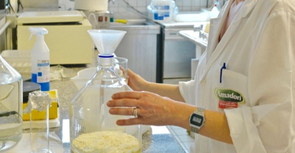 Amadori assume 700 persone in Italia 