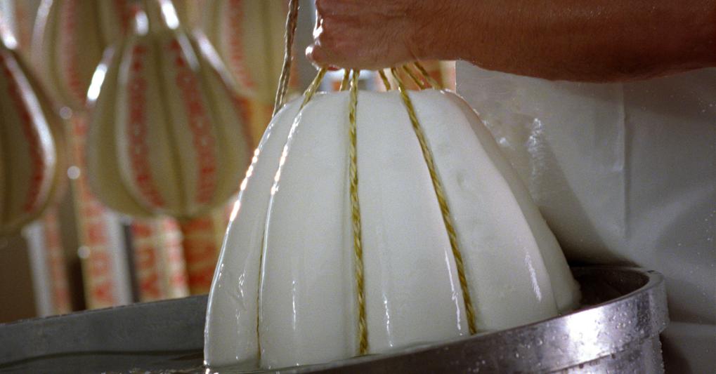 Una fase di lavorazione del provolone Auricchio 