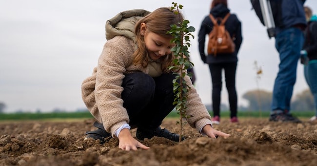 Riforestazione. Bosco Moranzani (foto) è un progetto di riforestazione di un'area di oltre 50mila metri quadri a Mira, nel territorio veneziano, che ospiterà 5.300 nuovi alberi e arbusti autoctoni di 17 specie diverse
