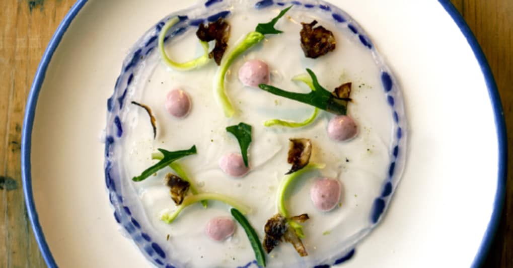 Medusa, yogurt di Lampascione e puntarelle, piatto di Giovanni Ingletti - Gojelly Cookbook 