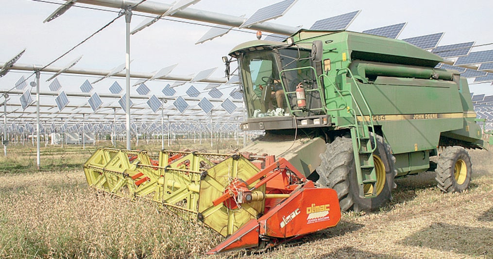 Agrovoltaico, la svolta energetica che trasforma l’agricoltura...
