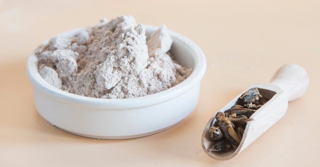 (DalaiFood - stock.adobe.com)