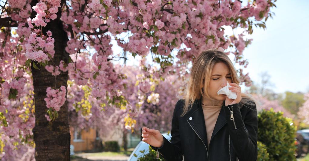 Il cambiamento climatico allunga la stagione delle allergie per 10 milioni di italiani