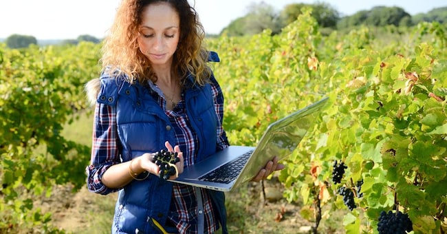 (W PRODUCTION - stock.adobe.com)