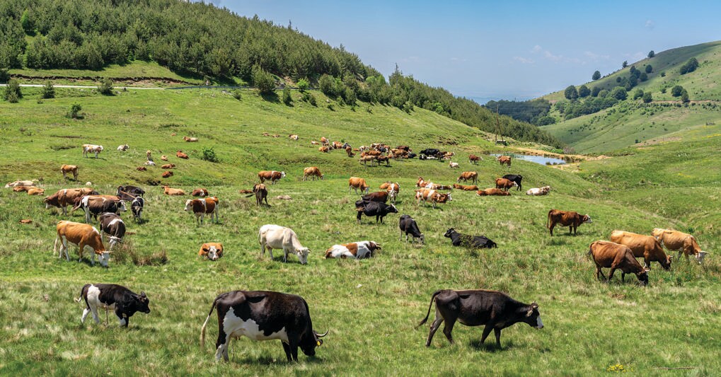  Per il 90% a fondo perduto 