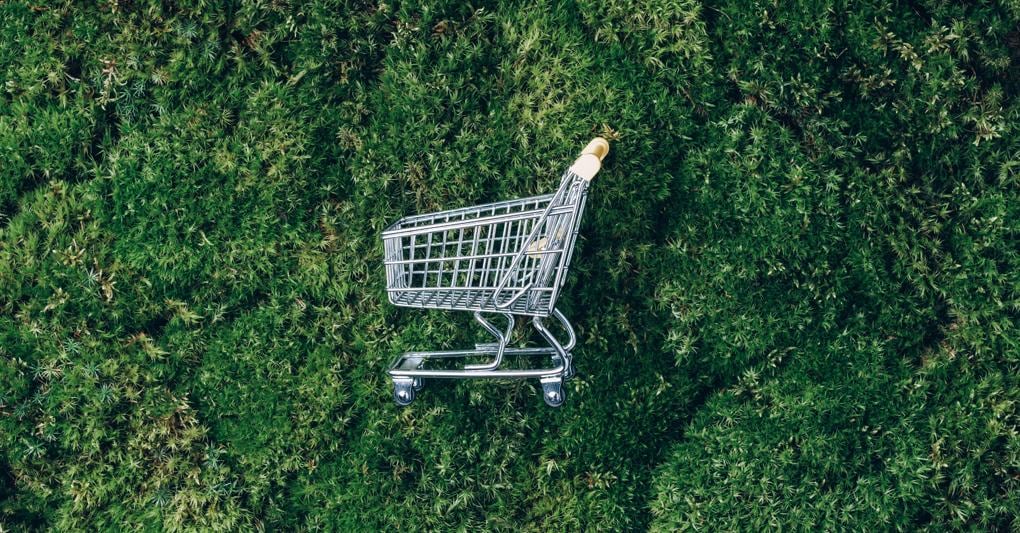 (Adobe Stock) 