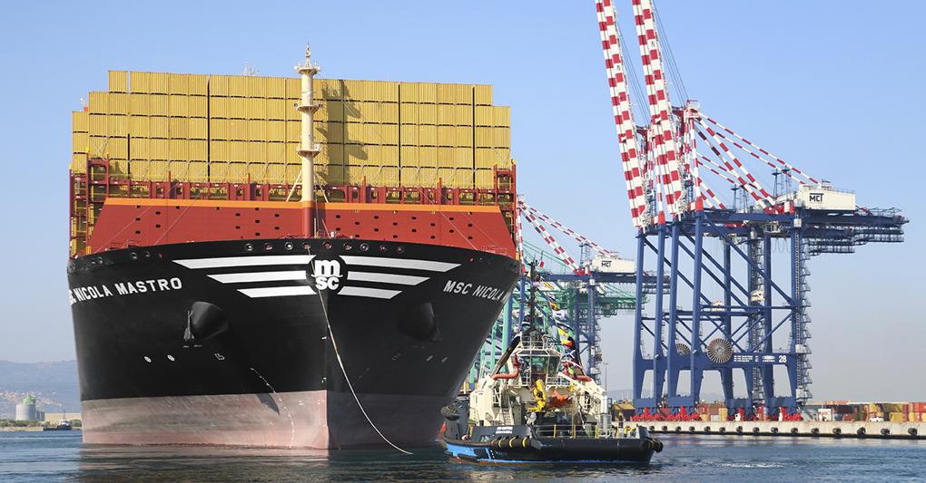 Msc Nicola Mastro 