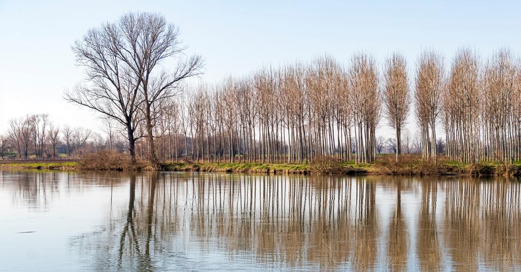 (Pierangelo - stock.adobe.com)