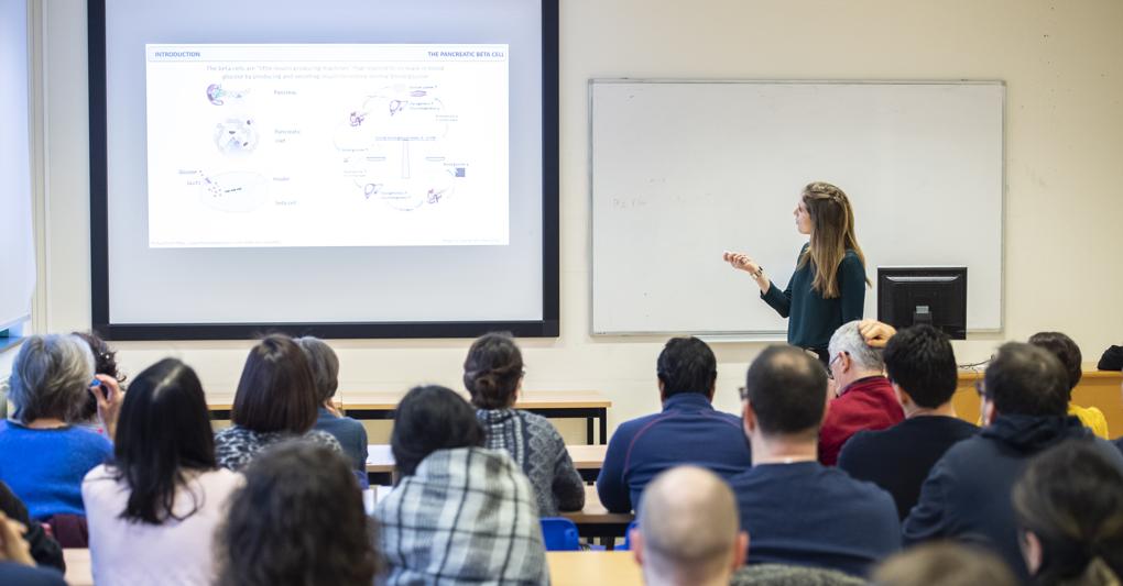  Formazione in aumento nelle aziende italiane che tornano allineate alla media europea 