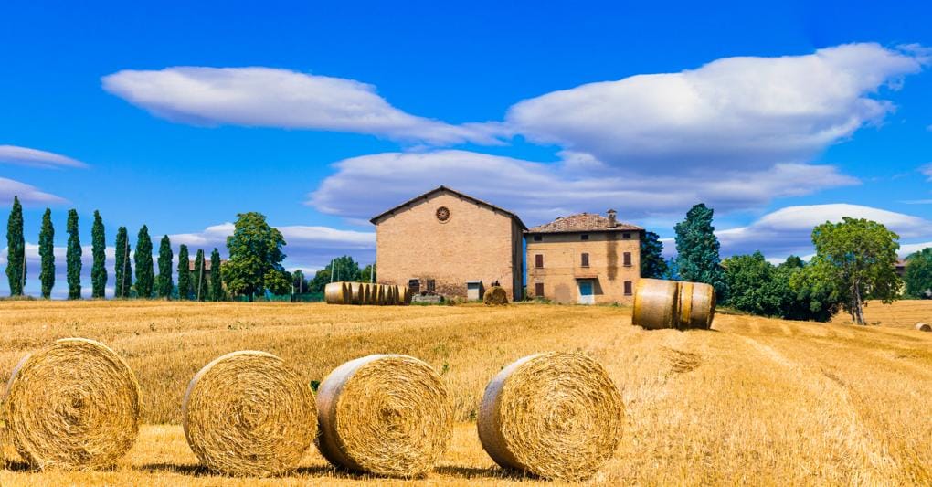 (Adobe Stock) 
