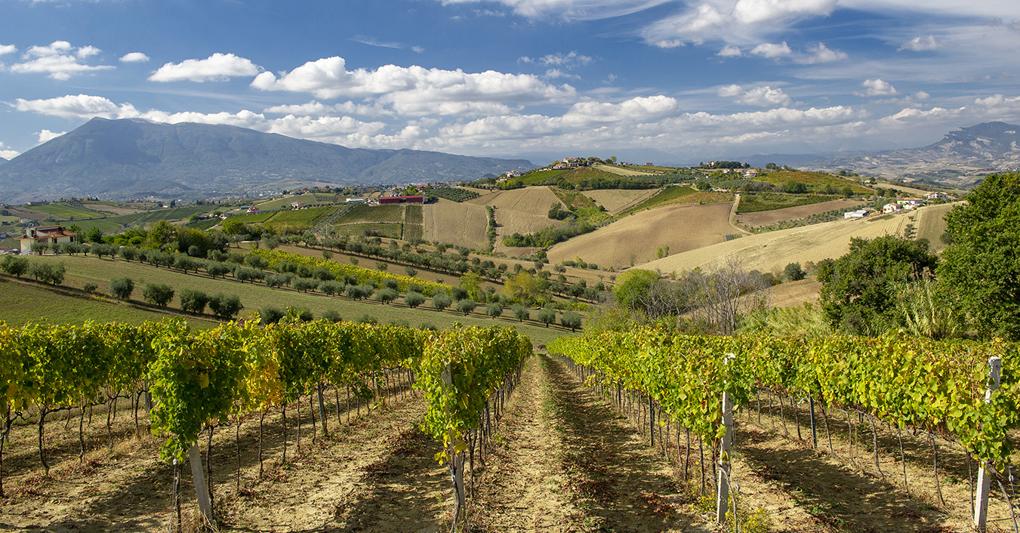 Un panorama delle Colline Teramane dove si produce il Montepulciano d’Abruzzo Docg 