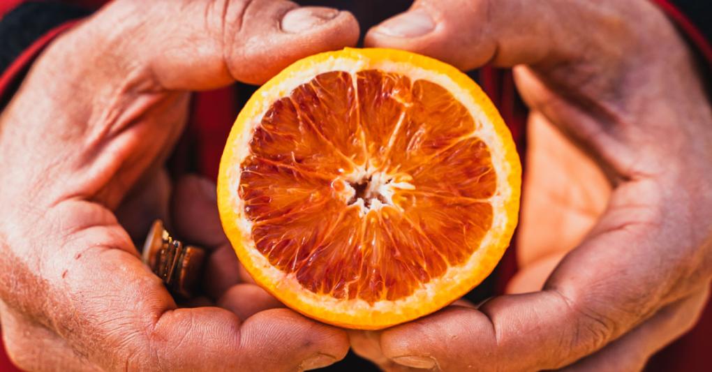Mammarancia: dal produttore al consumatore 