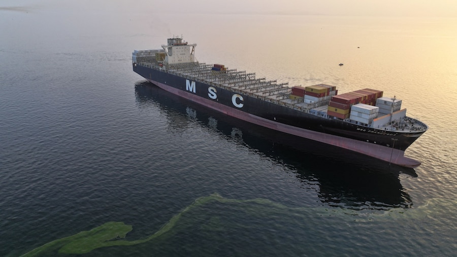 In questa immagine ottenuta da Reuters il 24 aprile 2026 si vede la nave MSC Francesca durante il sequestro da parte del Corpo delle Guardie Rivoluzionarie Islamiche (IRGC) nello Stretto di Hormuz, in Iran. Meysam Mirzadeh/Tasnim/WANA (West Asia News Agency) via REUTERS (via REUTERS)