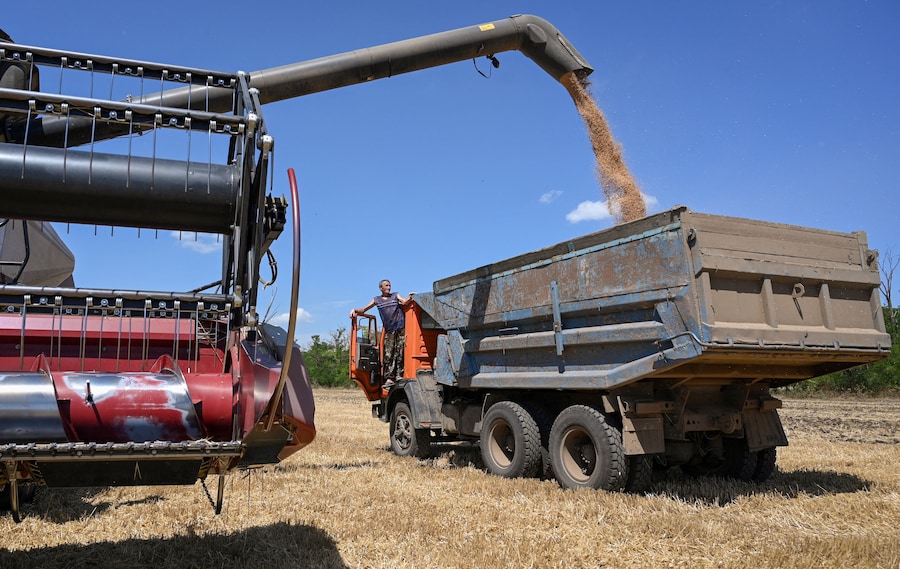 Una mietitrebbia carica un camion di grano durante la mietitura in un campo nella regione di Rostov, in Russia, il 14 luglio 2026. REUTERS/Sergey Pivovarov (REUTERS)