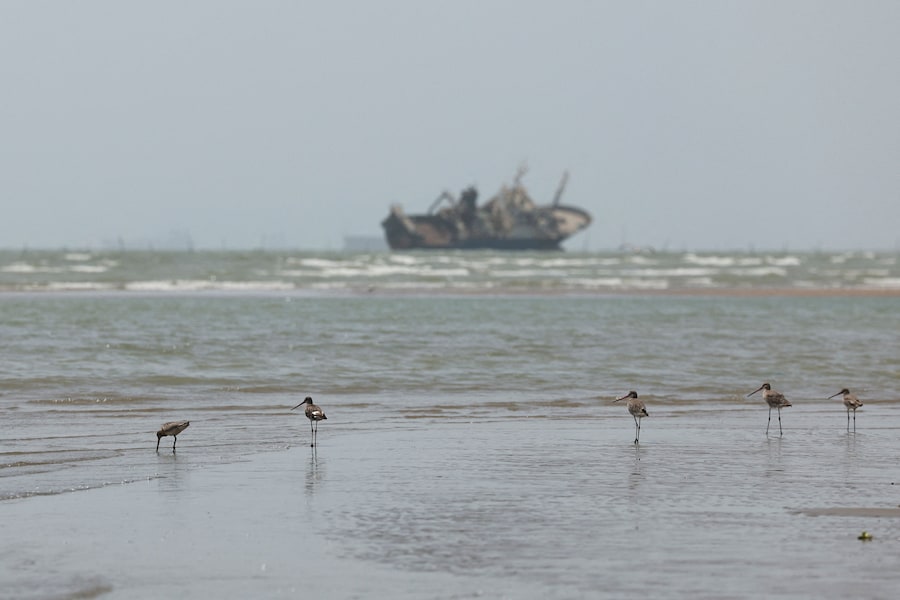Imbarcazioni nello Stretto di Ormuz visibili nei pressi della spiaggia di Bandar Abbas, in Iran, 25 agosto 2026. Majid Asgaripour/WANA ( (via REUTERS)