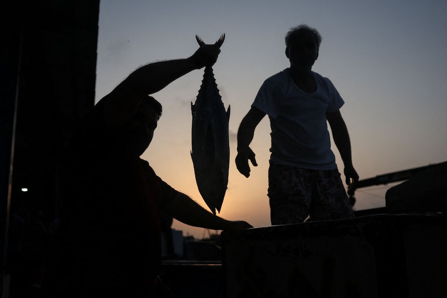 Un uomo tiene in mano un pesce in un mercato ittico locale a Bandar Abbas, in Iran, il 26 agosto 2026. Majid Asgaripour/WANA (via REUTERS)
